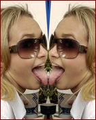 hayden-panettiere_15.jpg - 153 KB