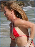 Nicollette Sheridan Nude Pictures