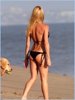 Nicollette Sheridan Nude Pictures