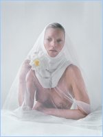 Kate Moss Nude Pictures