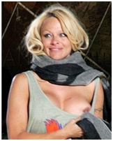 pamela-anderson_08.jpg - 106 KB