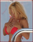 pamela-anderson_08.jpg - 95 KB