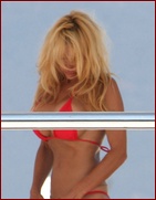 pamela-anderson_09.jpg - 83 KB