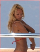 pamela-anderson_10.jpg - 78 KB