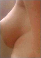 Elizaveta Boyarskaya nude